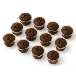 Ready to Decorate Chocolate Cupcakes
