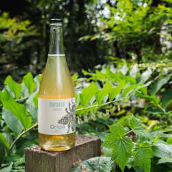 Non Alcoholic Sparkling Honey Wine 750ml Original Brut