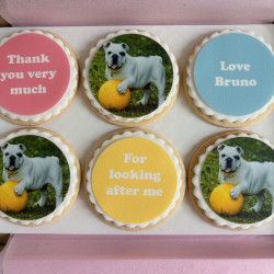 Thank You Gift for Pet Sitter or Dog Walker – Personalised Photo Biscuit Box of 6 – Edible Treat for Cat Carer