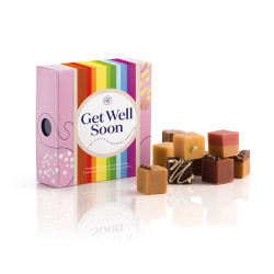 Get Well Soon Tasting Menu Fudge Selection - 9 Piece Gift Box