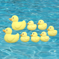 Edible Duck Sets Cupcake Toppers