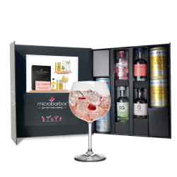 Gin-Spired Flavours Gift Set