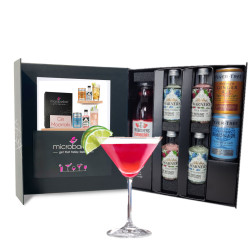 Gin Mocktail Gift Set