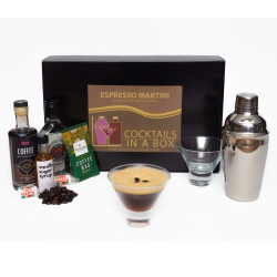 Espresso Martini Complete Cocktail Set (incl. 2 Glasses and Shaker)