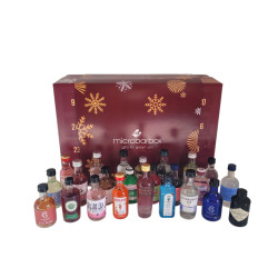 2025 Gin Advent Calendar - 24 Days (24 x 5cl)