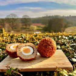 Mixed Selection Scotch Eggs - Box of 4
