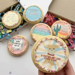 Healing Vibes Get Well Biscuit Gift