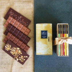 Chocolate Library Gift Box - Yellow Cacao Pods