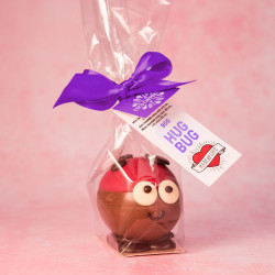 Hug Bug Valentine's Chocolate Gift