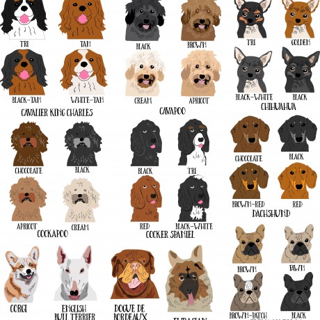 Breed examples