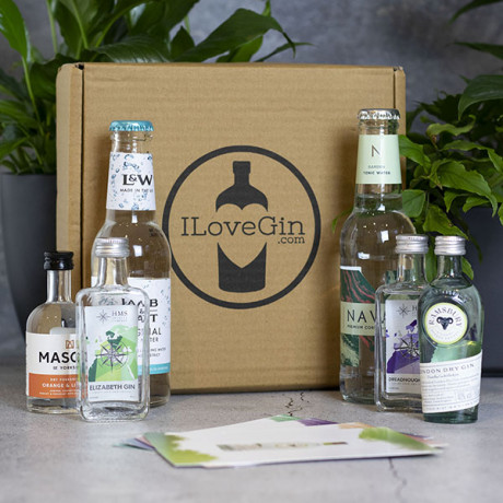 The 4 Styles of Gin & Tonics Gift Set