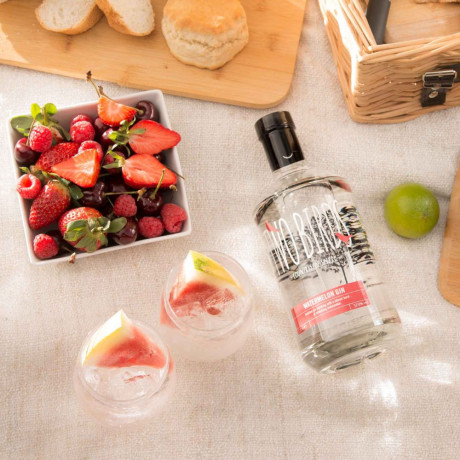 Two Birds Watermelon Gin
