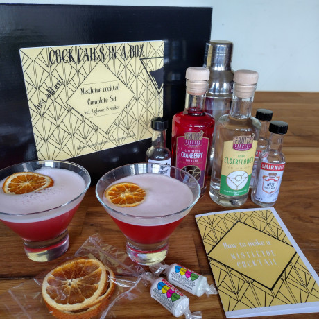 Mistletoe martini cocktail set