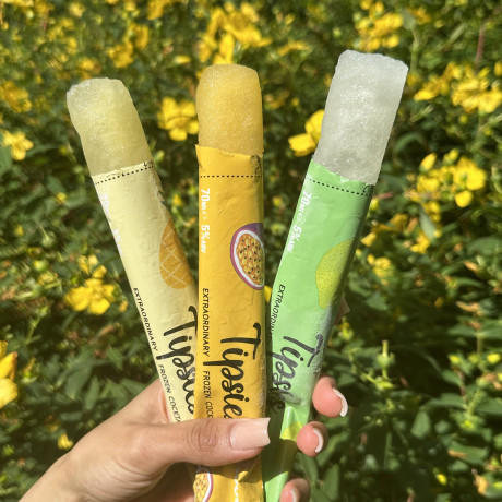 Alcoholic Ice Pops (12x) Alcoholic Ice Pops (12x)