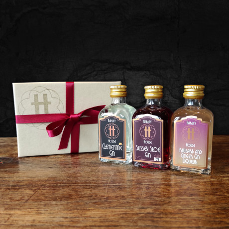 3 Pack of Gin Miniatures 2