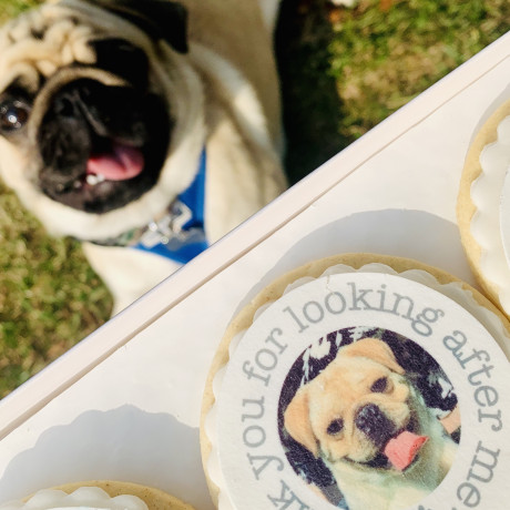 pet edible photo biscuit gift box