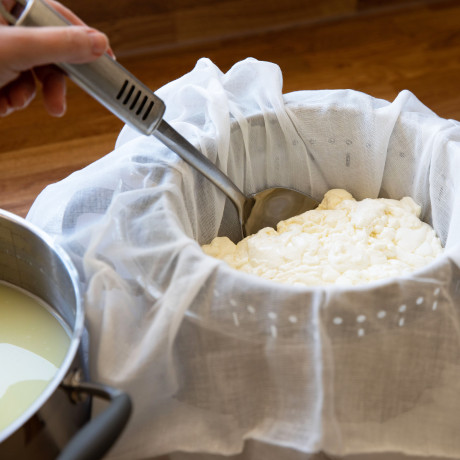 cheese making