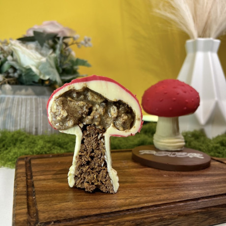 Crisp ChocoMush Chocolate Mushroom Crisp ChocoMush Chocolate Mushroom