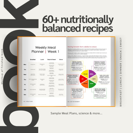 High Protein Recipes for Everyday Life Recipe Book High Protein Recipes for Everyday Life Recipe Book