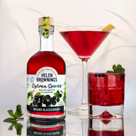 Helen Browning's Organic Sylvan Spirit - Blackcurrant