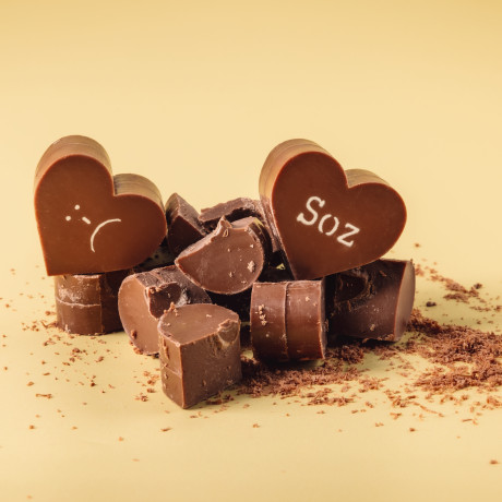 Close-up of broken Sorry Obnoxious Chocs, highlighting the thick, solid Belgian chocolate with cocoa butter decoration.