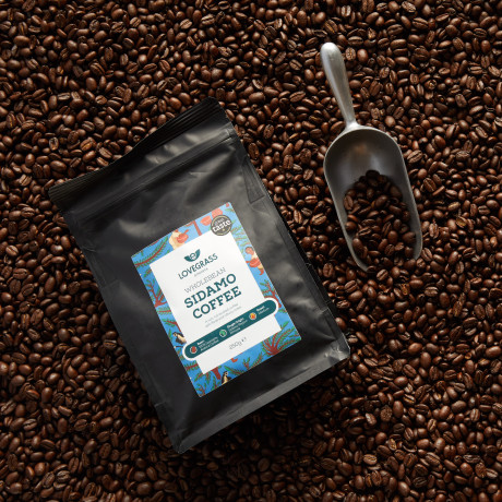 Single Origin, Grade 1, Roasted Sidamo Coffee Beans