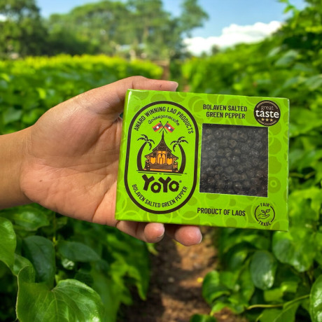 Yoyo Bolaven Salted Green Pepper