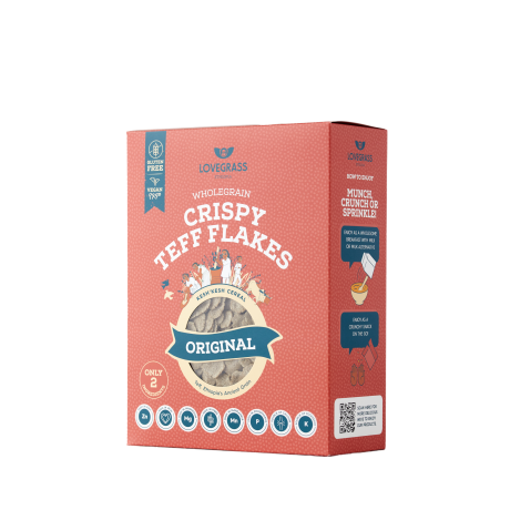 Teff Cereal Bundle of 6