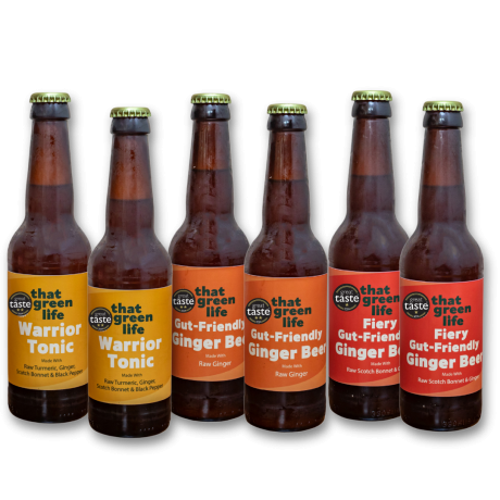 Gut Friendly Ginger Beer Drinks Bundle