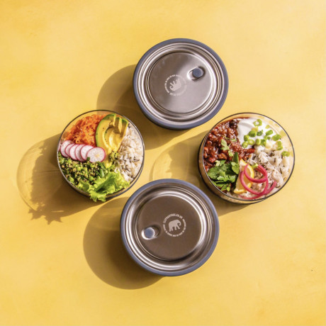 Elephant Box Lunch Bowl - Medium