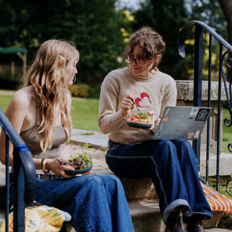 Elephant Box Lunch Bowl - Medium