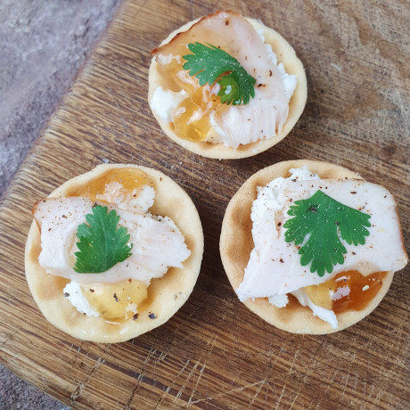 Canape Shell Cases (Multi-Pack)