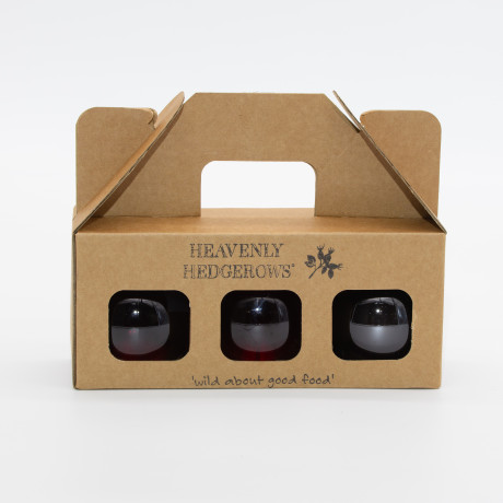 Foraged Liqueur Gift Set of 3