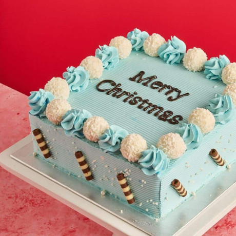 Christmas Winter Wonderland Square Cake