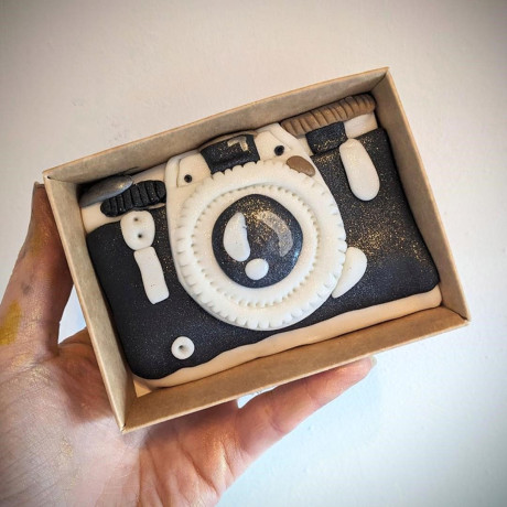 Retro Camera Cookie, Hand Iced Mini Slab Letterbox Biscuit