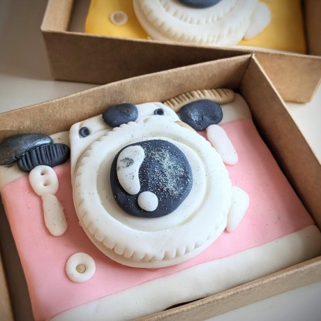 Retro Camera Cookie, Hand Iced Mini Slab Letterbox Biscuit