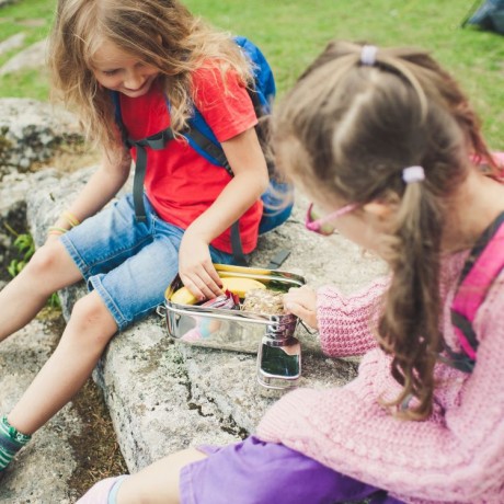 Elephant Box Steel Lunchbox
