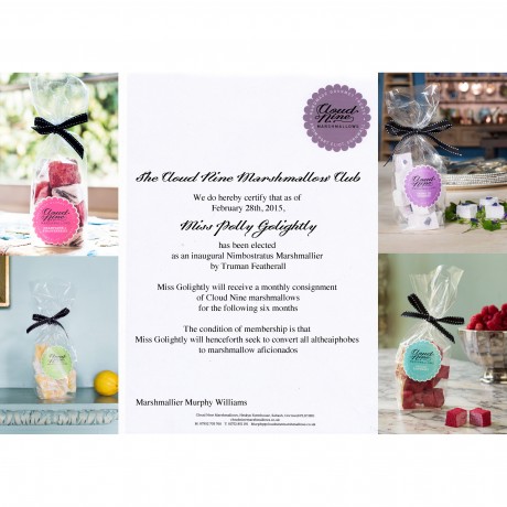 The Cloud Nine Marshmallow Club